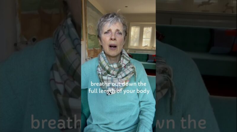 Breathe Out: Notice how the outbreath is your body’s natural relax